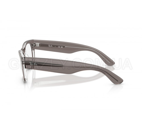 Оправа Ray-Ban RX 0832V 8111