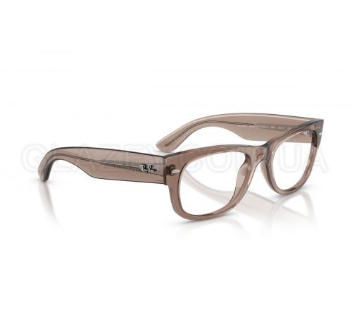 Оправа Ray-Ban RX 0832V 8457