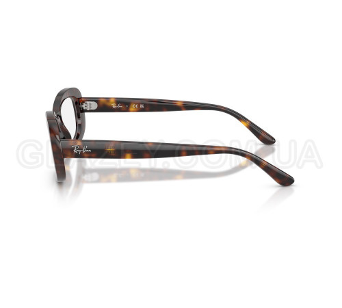 Оправа Ray-Ban RX 2221V 2012