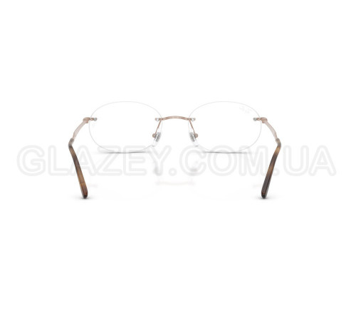 Оправа Ray-Ban RX 3767V 3207