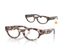 Оправа Ray-Ban RX 5447 8459