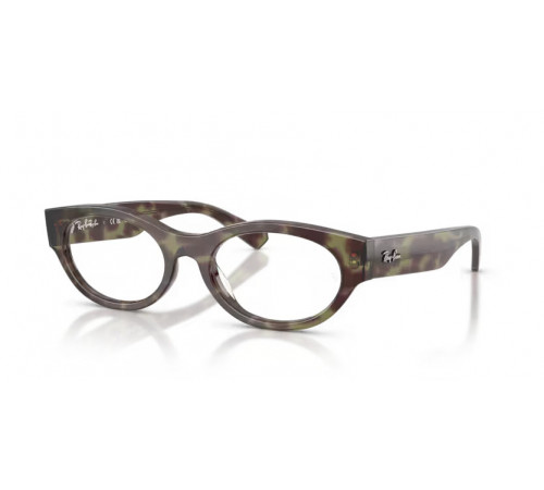 Оправа Ray-Ban RX 5447 8459