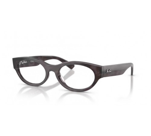 Оправа Ray-Ban RX 5447 8461