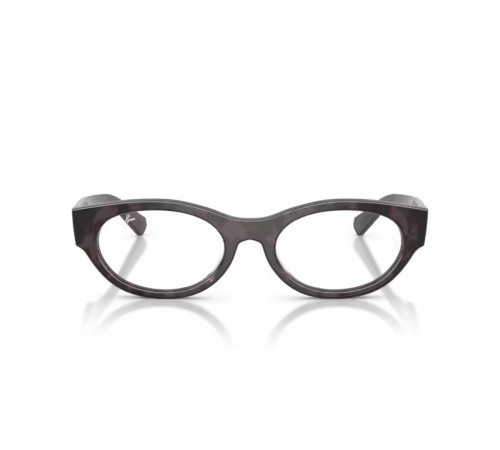 Оправа Ray-Ban RX 5447 8461