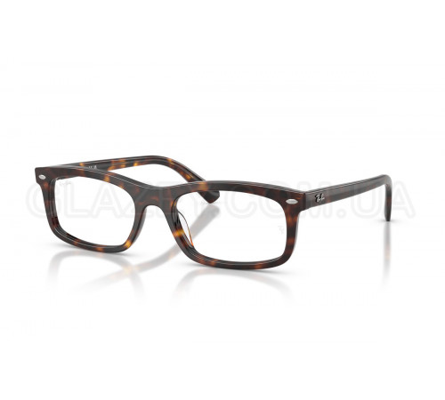 Оправа Ray-Ban RX 5450 2012