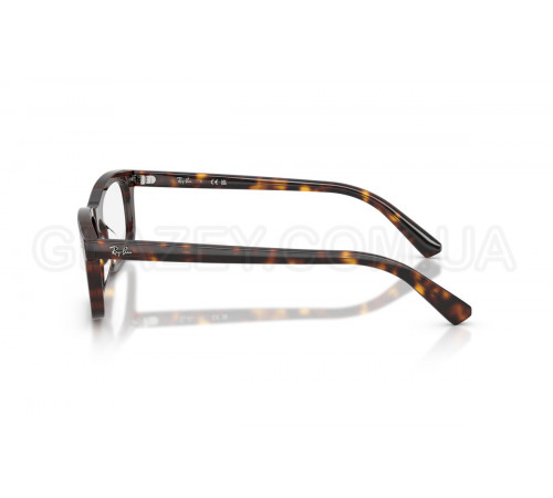 Оправа Ray-Ban RX 5450 2012