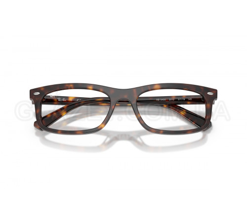 Оправа Ray-Ban RX 5450 2012