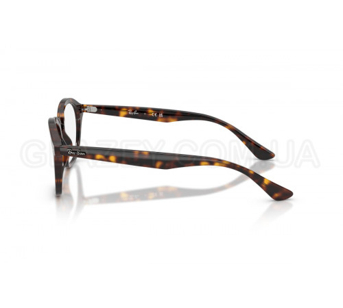 Оправа Ray-Ban RX 5451 2012