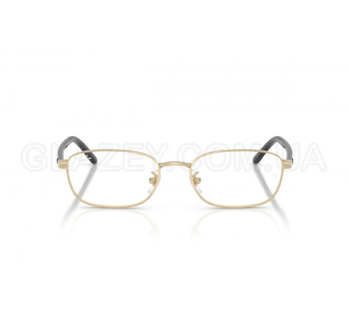 Оправа Ray-Ban RX 6551D 2993