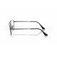 Оправа Ray-Ban RX 6579 2509