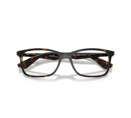 Оправа Ray-Ban RX 7047 2012
