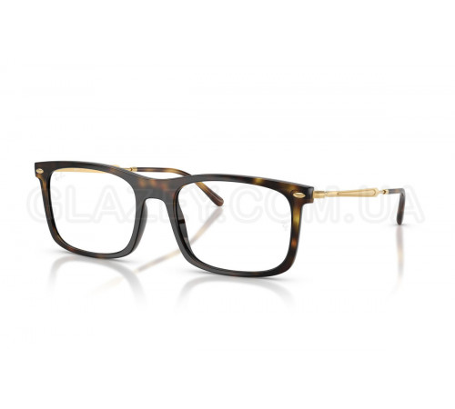 Оправа Ray-Ban RX 7260 2012