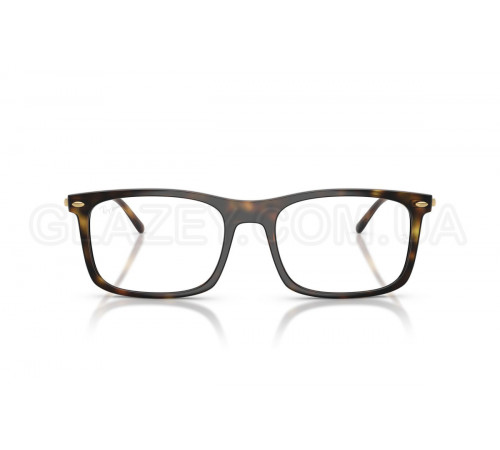 Оправа Ray-Ban RX 7260 2012