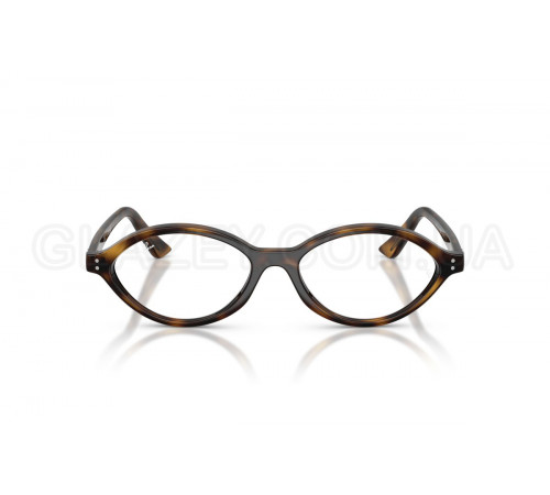 Оправа Ray-Ban RX 7265 8320