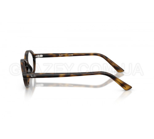 Оправа Ray-Ban RX 7265 8320