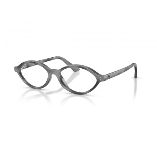Оправа Ray-Ban RX 7265 8489
