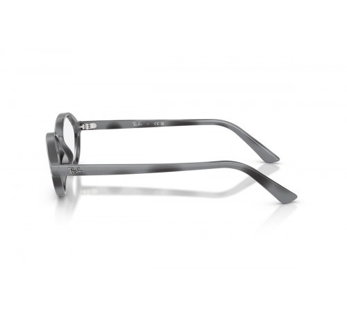Оправа Ray-Ban RX 7265 8489