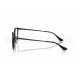 Оправа Ray-Ban RX 7266D 2000