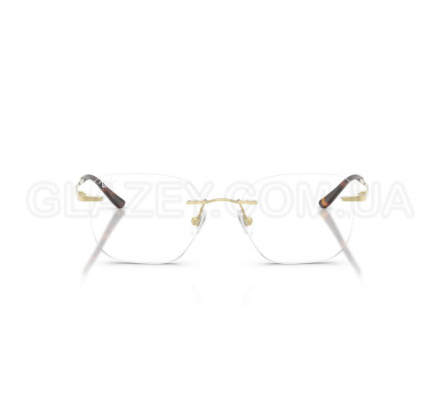 Оправа Ray-Ban RX 8783D 1251