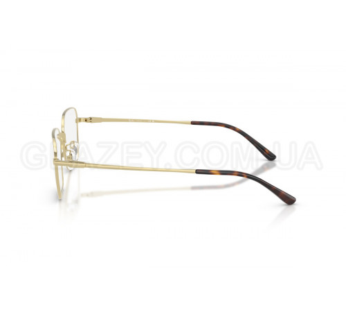 Оправа Ray-Ban RX 8784D 1251