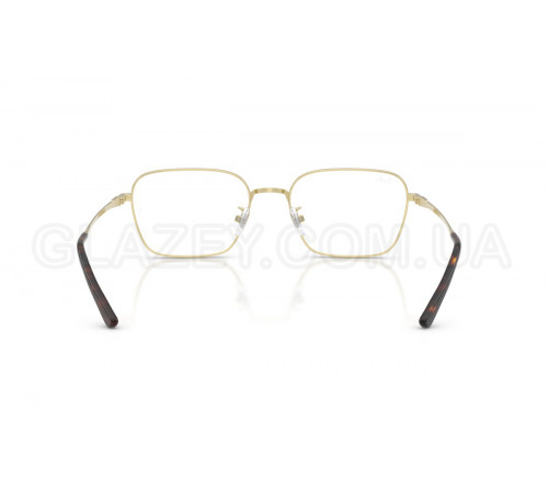 Оправа Ray-Ban RX 8784D 1251