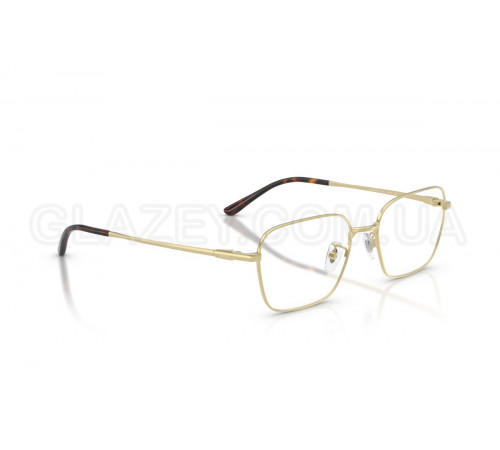 Оправа Ray-Ban RX 8784D 1251