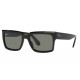 Солнцезащитные очки Ray-Ban RB 2191 901/58