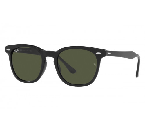 Солнцезащитные очки Ray-Ban RB 2298 901/31