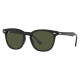 Солнцезащитные очки Ray-Ban RB 2298 901/31