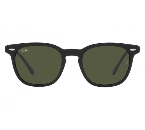 Солнцезащитные очки Ray-Ban RB 2298 901/31