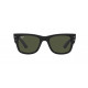 Солнцезащитные очки Ray-Ban RB 0840S 901/31