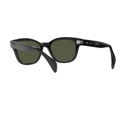 Солнцезащитные очки Ray-Ban RB 0880S 901/31