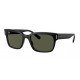 Солнцезащитные очки Ray-Ban RB 2190 901/31