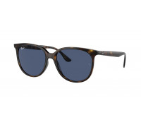 Солнцезащитные очки Ray-Ban RB 4378 710/80