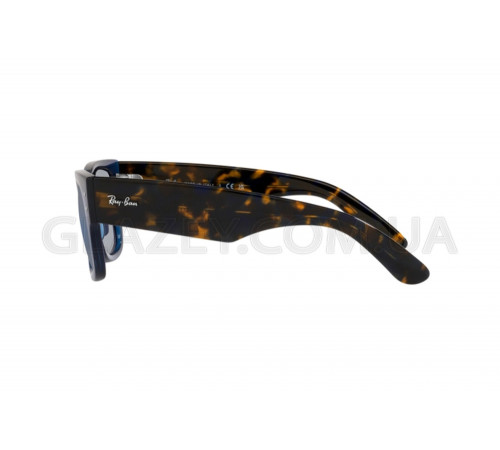 Сонцезахисні окуляри Ray-Ban RB 0840S 6638O4