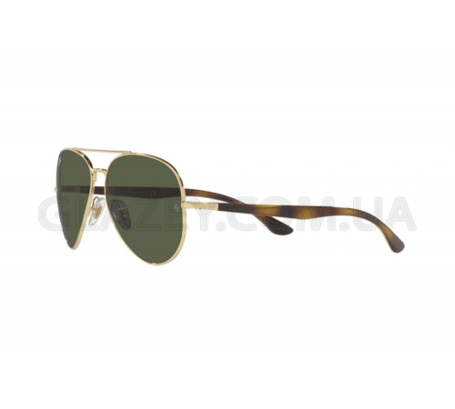 Солнцезащитные очки Ray-Ban RB 3675 001/31