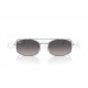 Солнцезащитные очки Ray-Ban RB 3719 003/M3