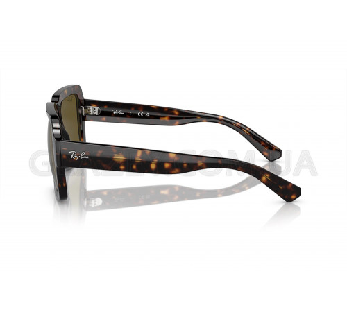 Солнцезащитные очки Ray-Ban RB 4408 135973