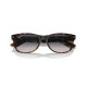 Солнцезащитные очки Ray-Ban RB 2132 865/78