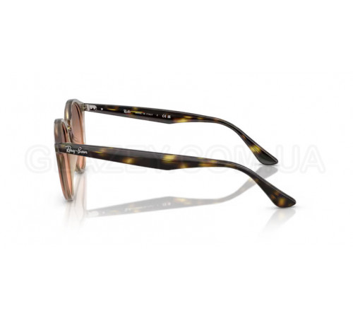 Солнцезащитные очки Ray-Ban RB 2180 678846
