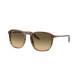 Солнцезащитные очки Ray-Ban RB 2203 13920A