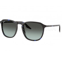 Солнцезащитные очки Ray-Ban RB 2203 1430GK