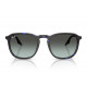 Солнцезащитные очки Ray-Ban RB 2203 1430GK