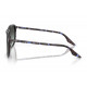 Солнцезащитные очки Ray-Ban RB 2203 1430GK