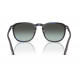 Солнцезащитные очки Ray-Ban RB 2203 1430GK