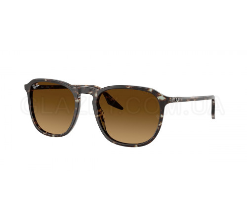 Солнцезащитные очки Ray-Ban RB 2203 143185