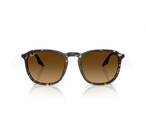 Солнцезащитные очки Ray-Ban RB 2203 143185