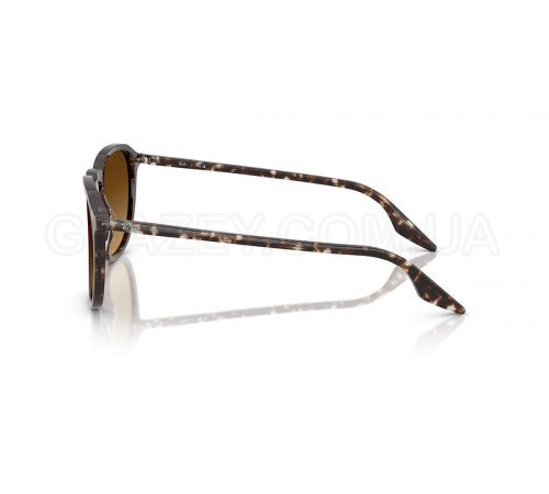 Солнцезащитные очки Ray-Ban RB 2203 143185