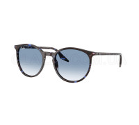 Солнцезащитные очки Ray-Ban RB 2204 14303F