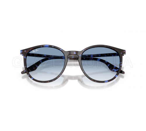 Солнцезащитные очки Ray-Ban RB 2204 14303F